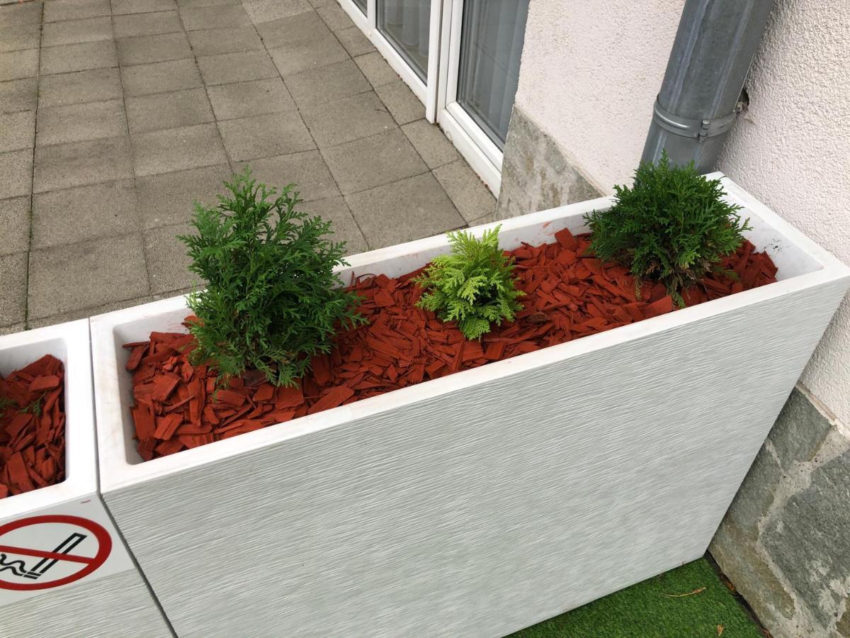 Apartament Studio Czarna Gora II Sienna  Eksteriør bilde